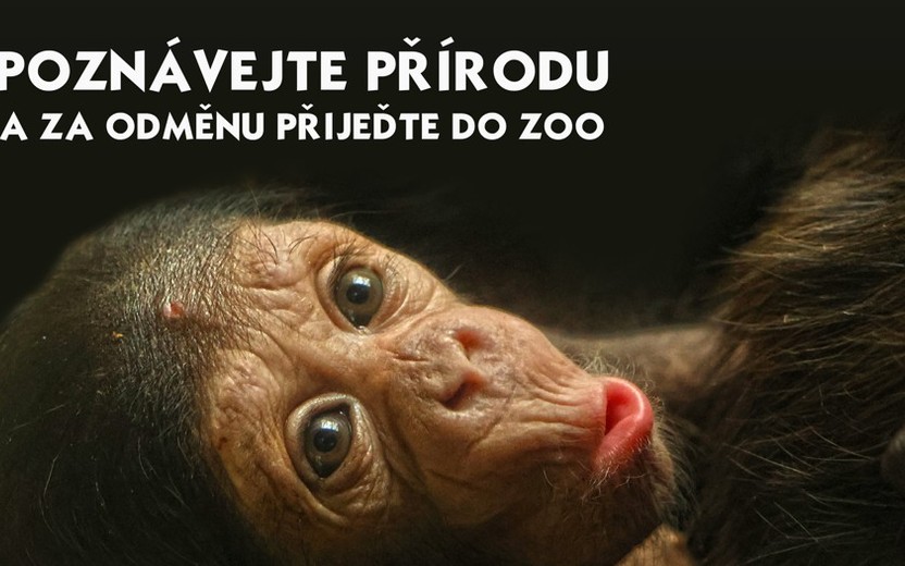 Soutěž: Poznávejte přírodu a za odměnu přijeďte do ZOO