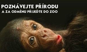 03-11 / 2024 Soutěž: Poznávejte přírodu a za odměnu přijeďte do ZOO 