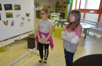 DSC03982.JPG