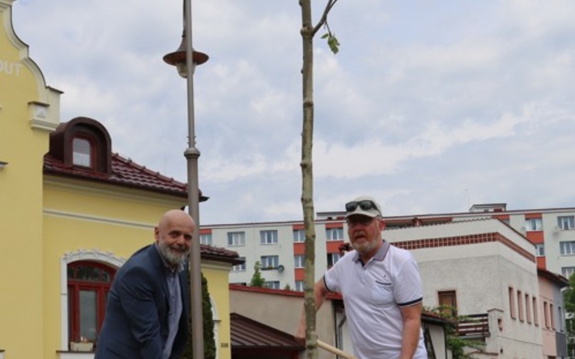 Zasazení partnerského stromu delegací z Uetendorfu