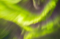 nocni krajiny_105.JPG