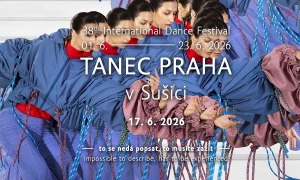 TANEC PRAHA V SUŠICI Holektiv (CZ): Pradleny