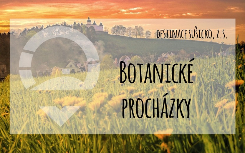 Botanické procházky s odborníkem 