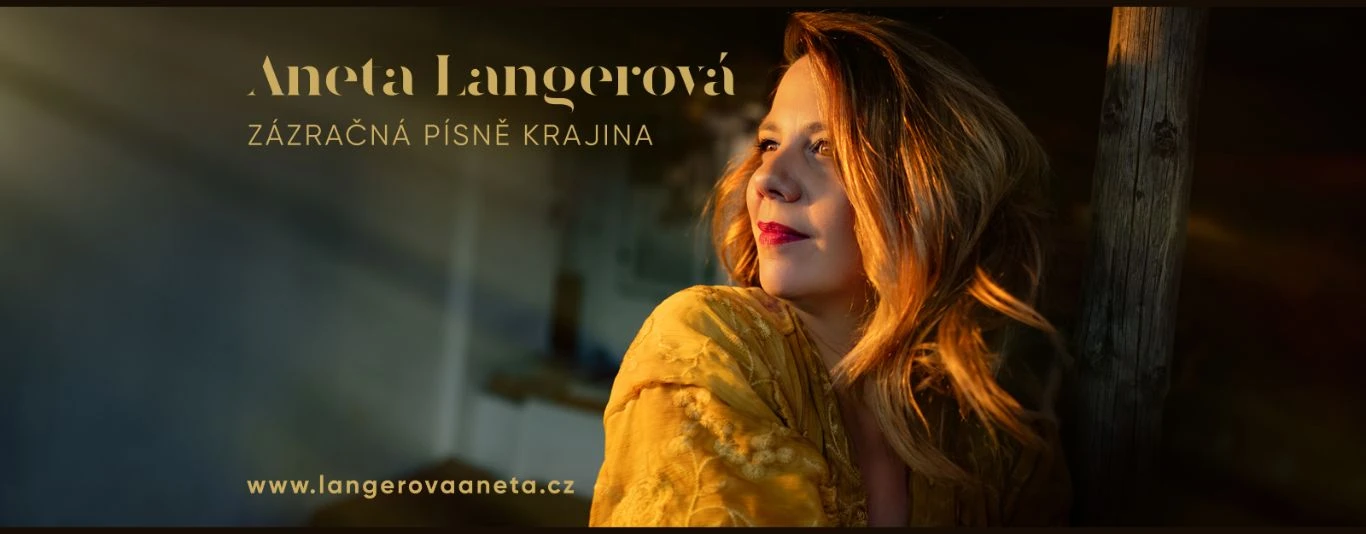 aneta banner.jpg