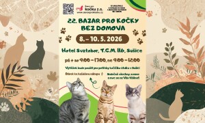 22. bazar pro kočky bez domova