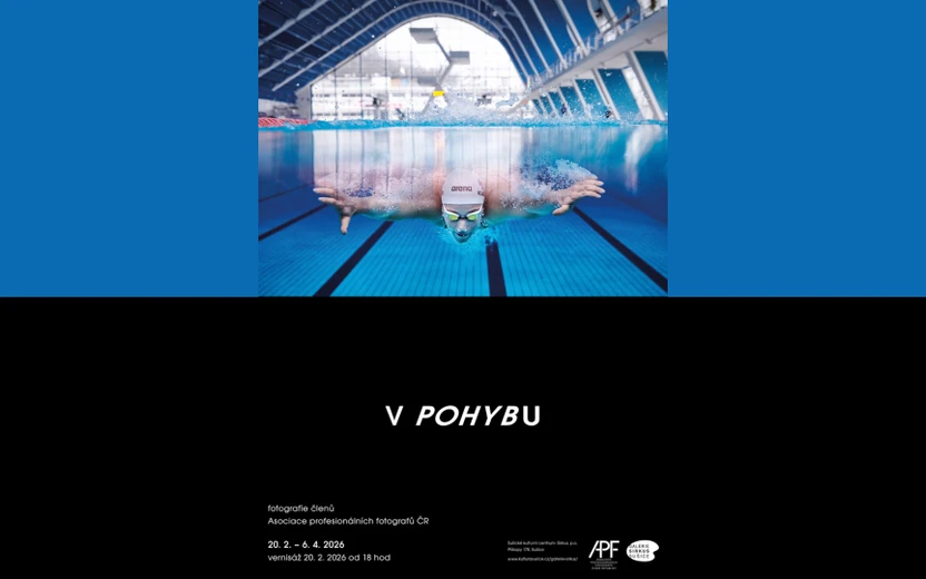 V POHYBU / Fotografie členů Asociace profesionálních fotografů ČR