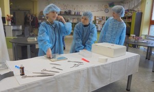 18.2.2026 ZŠ Lerchova, 3.C: Pitva knihy