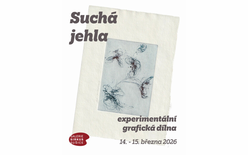 Suchá jehla experimentální grafická dílna suché jehly s Lenkou Sýkorovou