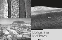 2016-07-3fotografove_plakat_sirkus-800px.jpg