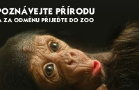 Banner_ZOO2024.jpg