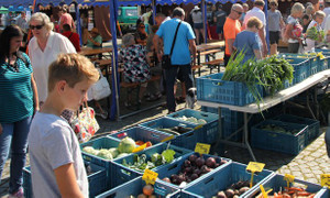 Farmářské trhy - Vinné trhy