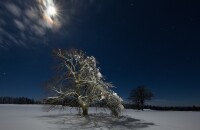 nocni krajiny_039.jpg