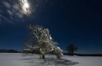 nocni krajiny_039.jpg