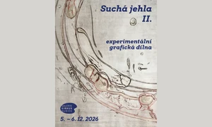 Suchá jehla II.
