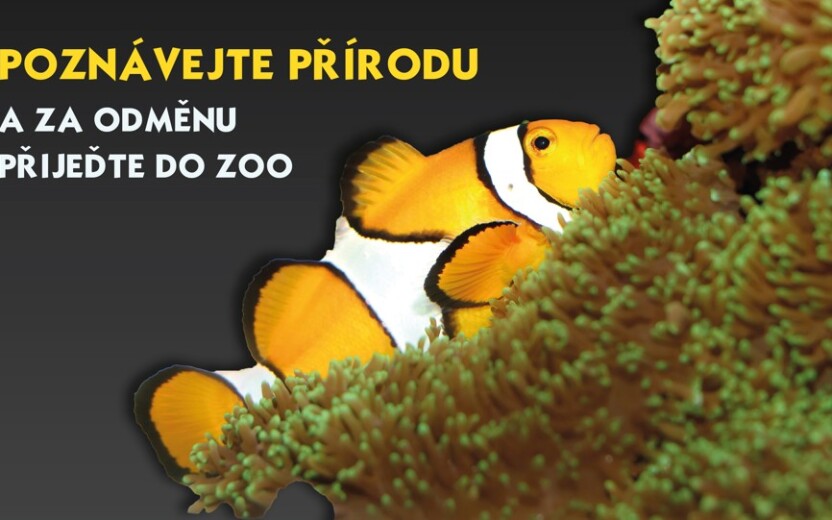 Poznávejte přírodu a za odměnu přijeďte do ZOO