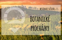 bota.jpg