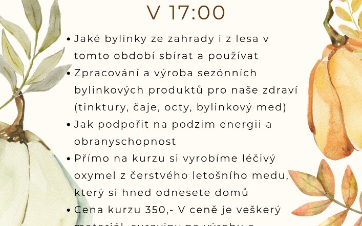 Bylinkový podzim...Jak na silnou imunitu