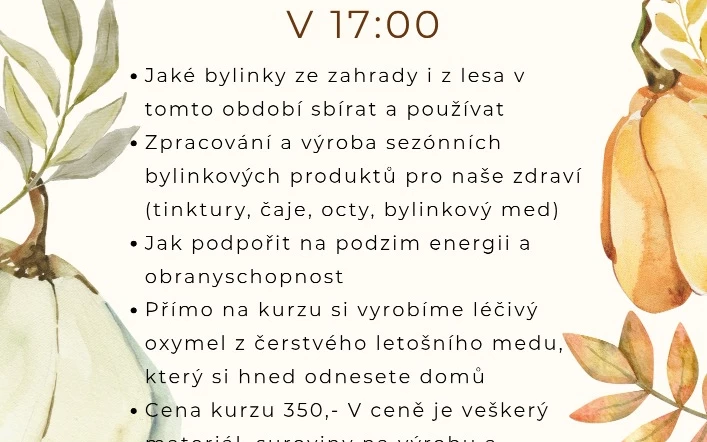 Bylinkový podzim...Jak na silnou imunitu