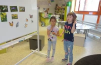 DSC03981.JPG