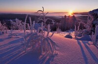 hosek97 Rano na Pancir 1260238.jpg