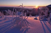 hosek97 Rano na Pancir 1260238.jpg