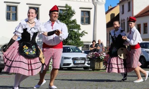 Folklórní festival