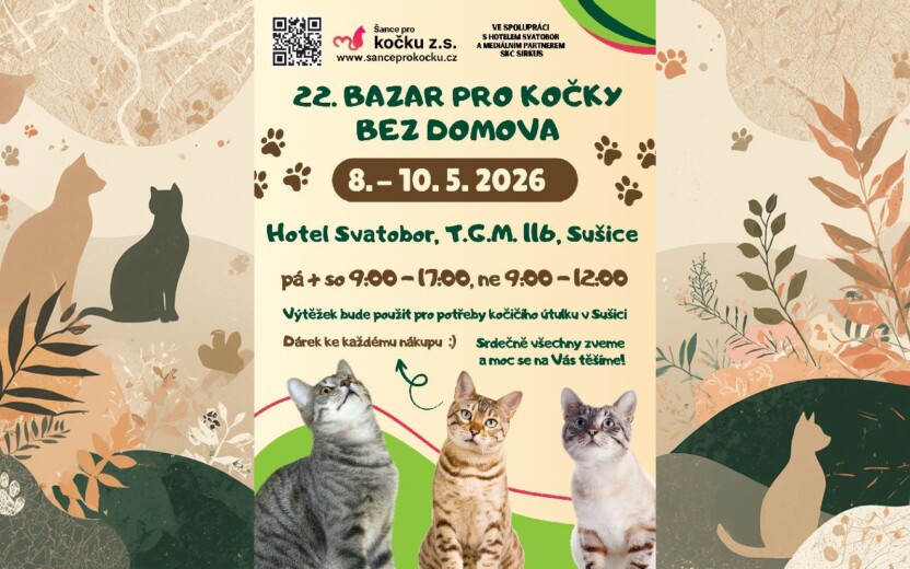 22. bazar pro kočky bez domova