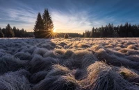 schafhauser_sumava1.jpg