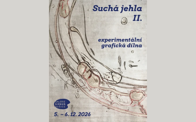Suchá jehla II.