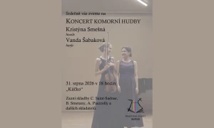 Koncert komorní hudby