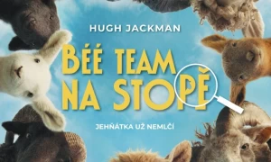 Béé team na stopě