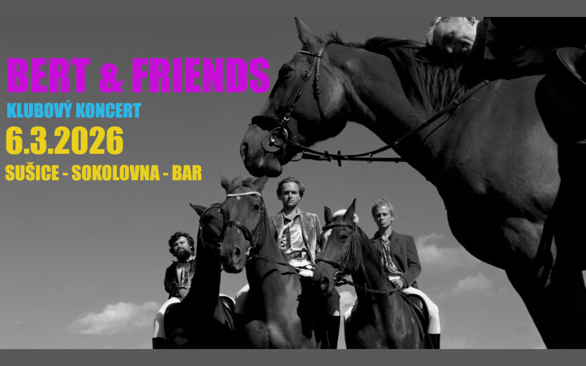 BERT & FRIENDS