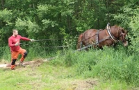 IMG_8425.jpg
