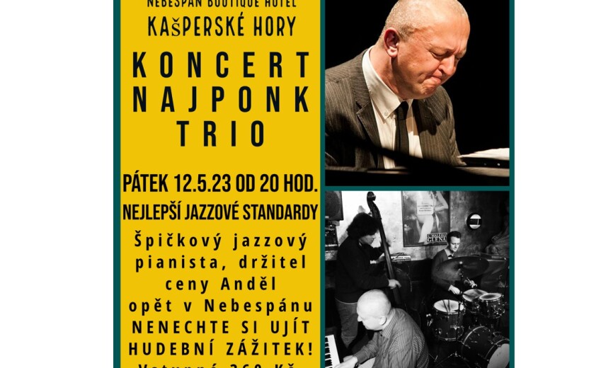 Koncert Najponk Trio