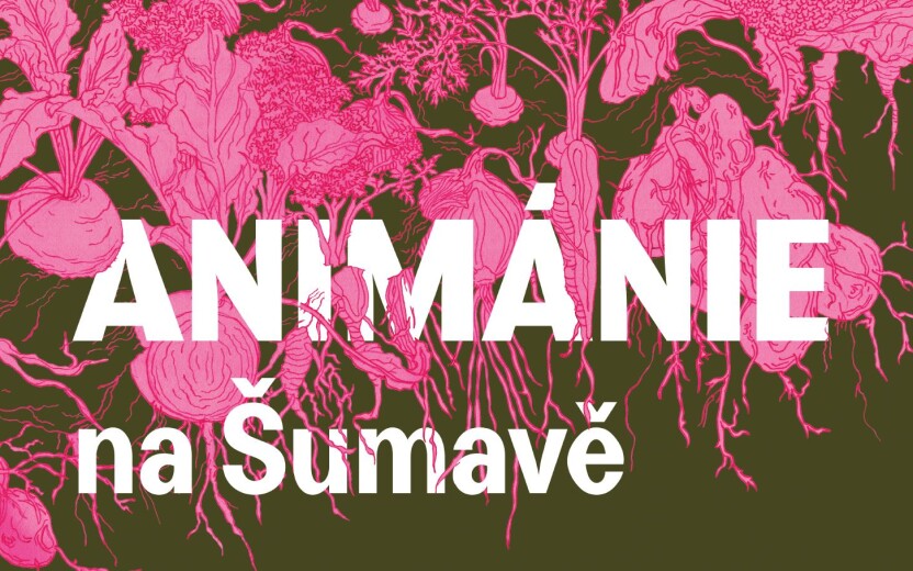 Animánie na Šumavě