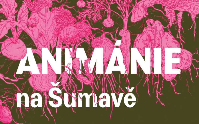 Animánie na Šumavě