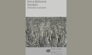 Petra Malinová - ŠALVĚJÍM - věnováno rostlinám