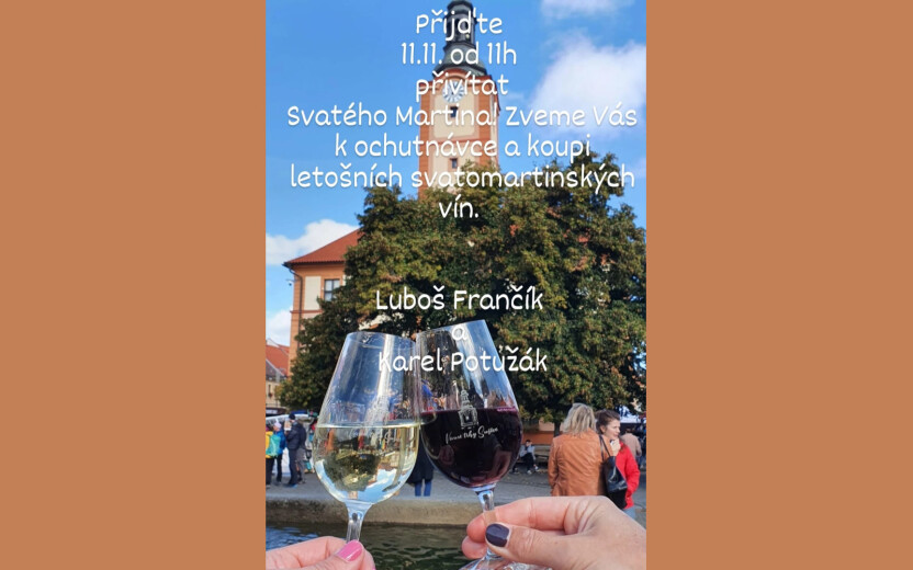 Ochutnávka vín 11/11 v 11:11 na náměstí