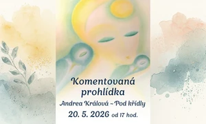 Komentovaná prohlídka - Andrea Králová - POD KŘÍDLY