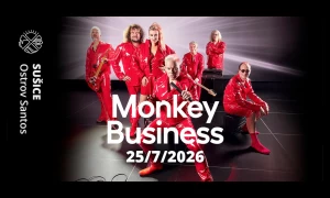 Monkey Business