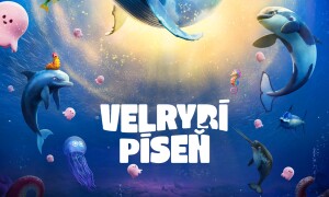 Velrybí píseň