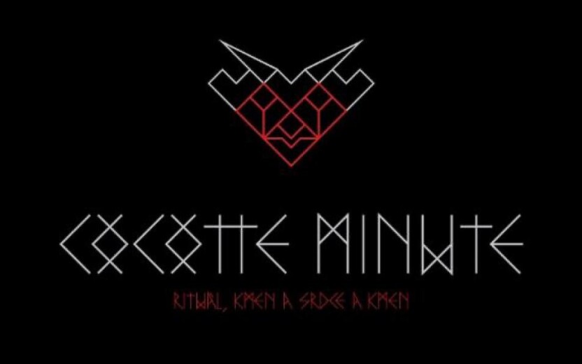 Cocotte Minute