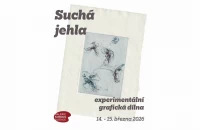 jehla.jpeg