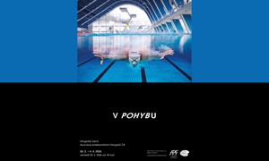 V POHYBU / Fotografie členů Asociace profesionálních fotografů ČR