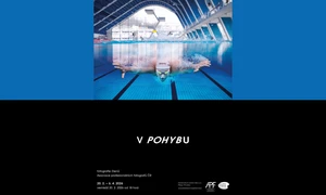 V POHYBU / Fotografie členů Asociace profesionálních fotografů ČR
