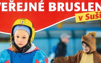 Karneval na ledě