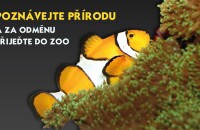 Banner_ZOO_2025.jpg