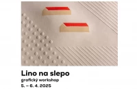 lino.jpeg