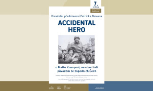 Divadelní představení Patricka Dewana, ACCIDENTAL HERO