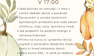 Bylinkový podzim...Jak na silnou imunitu